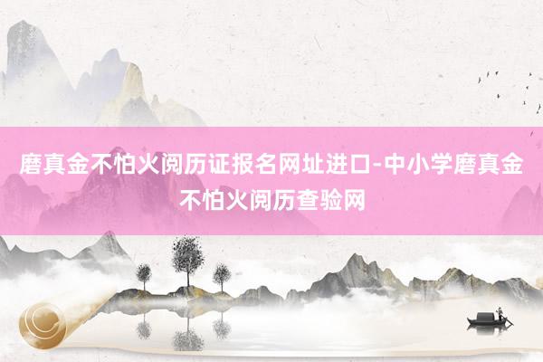 磨真金不怕火阅历证报名网址进口-中小学磨真金不怕火阅历查验网